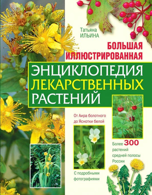 Обложка книги "Татьяна Ильина: Большая иллюстрированная энциклопедия лекарственных растений"