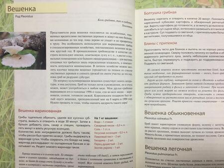 Фотография книги "Татьяна Ильина: Лесные грибы. Иллюстрированная энциклопедия с рецептами"