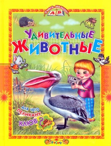 Обложка книги "Татьяна Комзалова: Удивительные животные"