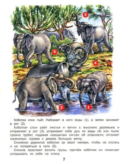 Фотография книги "Татьяна Комзалова: Удивительные животные"