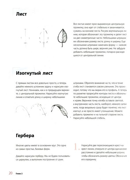 Фотография книги "Татьяна Лаптева: Пишем пионы, розы и другие цветы акварелью. Пошаговые мастер-классы по живописи"