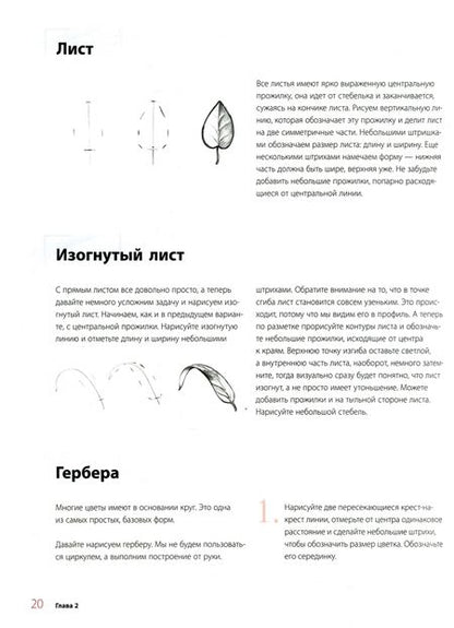 Фотография книги "Татьяна Лаптева: Пишем пионы, розы и другие цветы акварелью. Пошаговые мастер-классы по живописи"