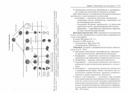 Фотография книги "Татьяна Отвагина: Терапия (оказание медицинских услуг в терапии). Учебное пособие"