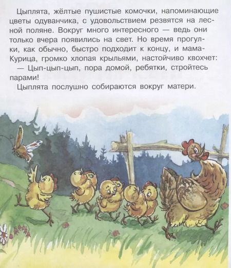 Фотография книги "Татьяна Петрова: Пропал Петя-петушок"