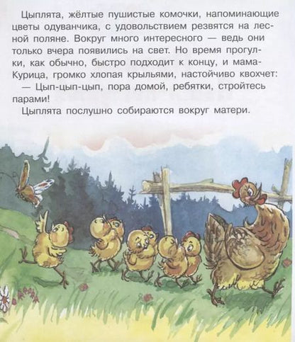 Фотография книги "Татьяна Петрова: Пропал Петя-петушок"