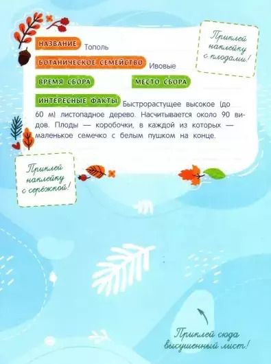 Фотография книги "Татьяна Пироженко: Собирай! Мой гербарий: книжка с наклейками"
