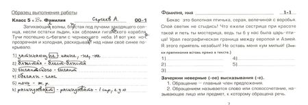 Фотография книги "Татьяна Шклярова: Русский язык. Найди ошибку! 5 класс. Сборник самостоятельных работ. ФГОС"