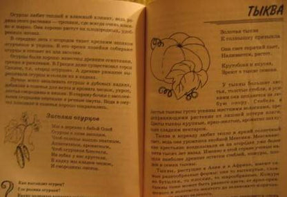 Фотография книги "Татьяна Шорыгина: Овощи. Какие они? Книга для воспитателей, гувернеров и родителей"