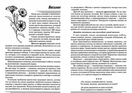 Фотография книги "Татьяна Шорыгина: Травы. Какие они? Книга для воспитателей, гувернеров и родителей"