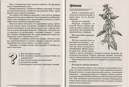Фотография книги "Татьяна Шорыгина: Травы. Какие они? Книга для воспитателей, гувернеров и родителей"