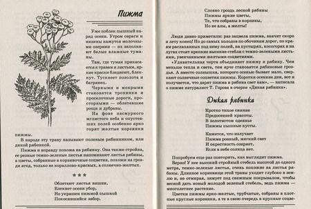 Фотография книги "Татьяна Шорыгина: Травы. Какие они? Книга для воспитателей, гувернеров и родителей"
