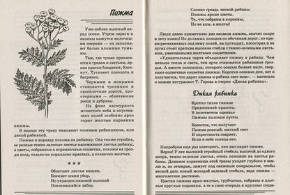 Фотография книги "Татьяна Шорыгина: Травы. Какие они? Книга для воспитателей, гувернеров и родителей"