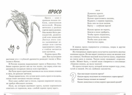 Фотография книги "Татьяна Шорыгина: Злаки. Какие они? Книга для воспитателей, гувернеров и родителей"