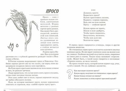 Фотография книги "Татьяна Шорыгина: Злаки. Какие они? Книга для воспитателей, гувернеров и родителей"
