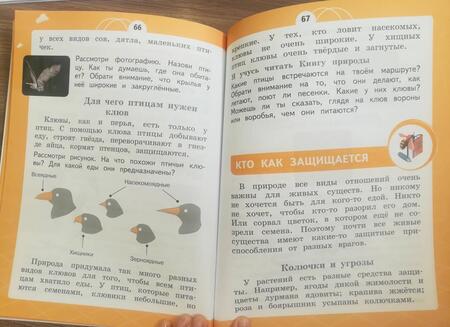 Фотография книги "Татьяна Шпотова: Естествознание. 1 класс. Азбука экологии. Учебник. ФГОС"