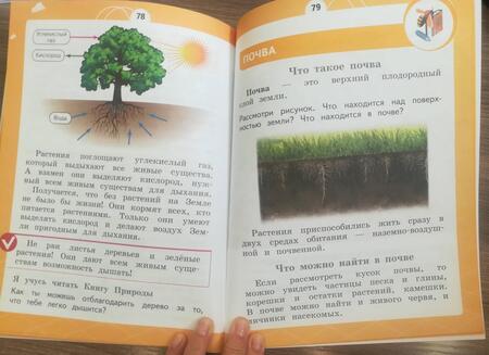 Фотография книги "Татьяна Шпотова: Естествознание. 1 класс. Азбука экологии. Учебник. ФГОС"