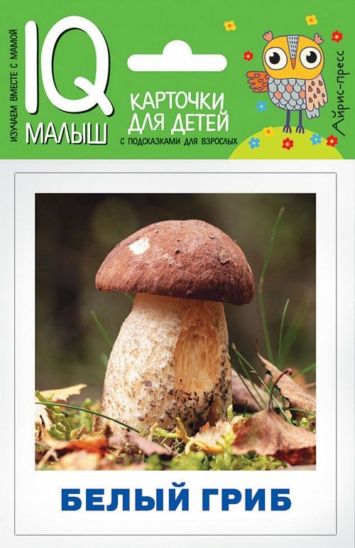 Обложка книги "Татьяна Тимофеева: Грибы наших лесов. Карточки для детей с подсказками для взрослых"