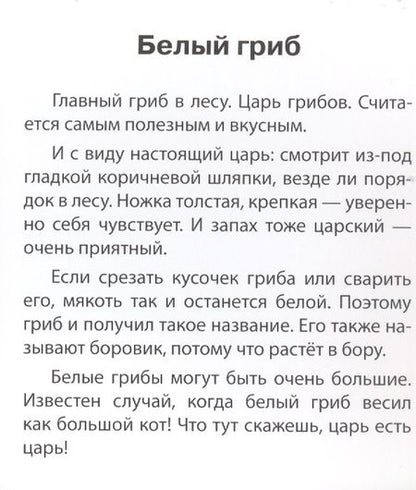 Фотография книги "Татьяна Тимофеева: Грибы наших лесов. Карточки для детей с подсказками для взрослых"