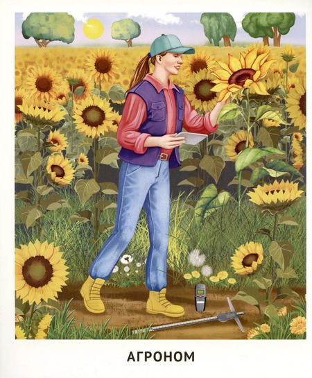 Фотография книги "Татьяна Цветкова: Демонстрационные картинки. Мир профессий. Кто работает на ферме (12 картинок + 20 разрезных мини-карточек)"