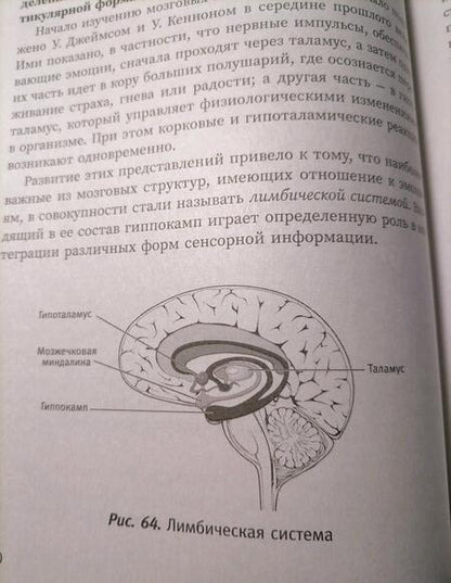 Фотография книги "Татьяна Визель: Основы нейропсихологии. Теория и практика"