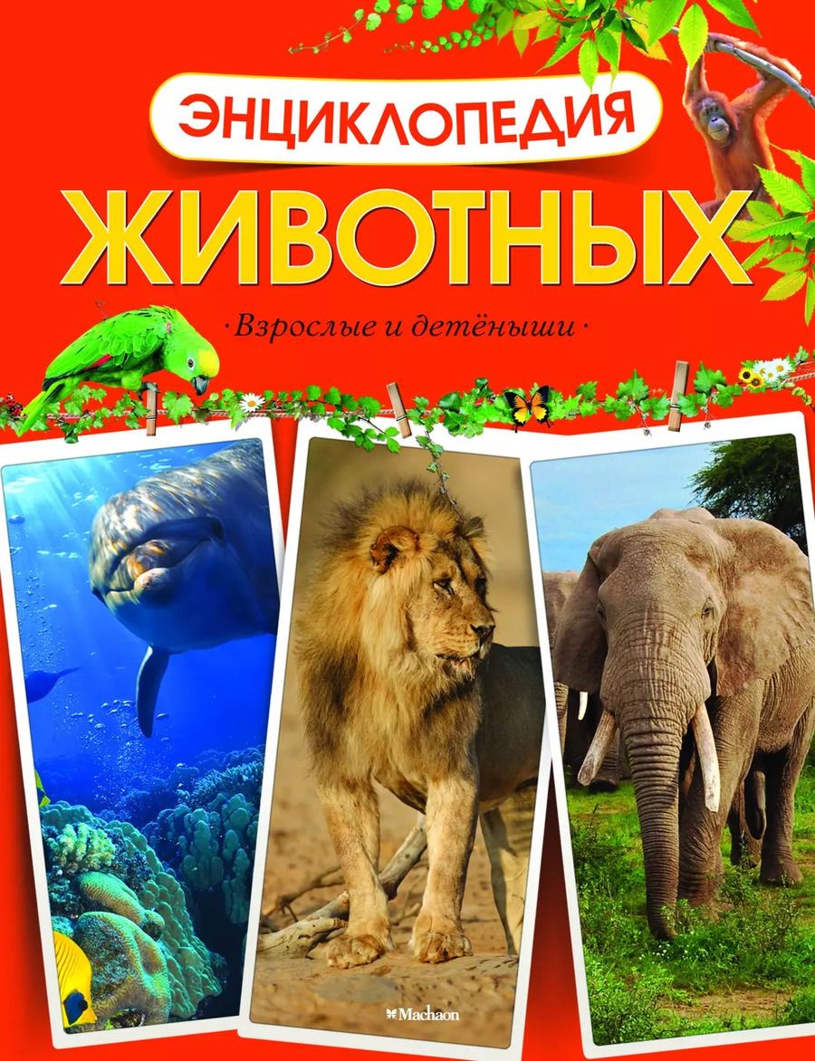 Обложка книги "Татьяна Земцова: Энциклопедия животных. Взрослые и детёныши"