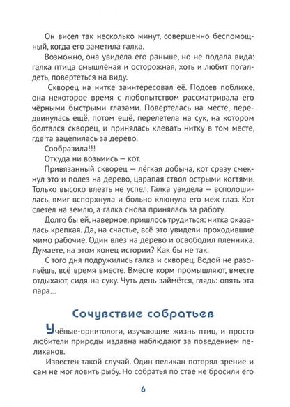 Фотография книги "Татьяна Жданова: Добрые чувства животных"