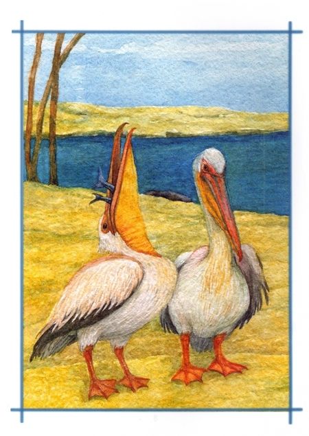 Фотография книги "Татьяна Жданова: Добрые чувства животных"