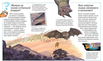 Фотография книги "Тэйлор, Макдональд, Паркер: Что, зачем и почему?"