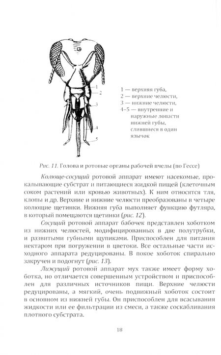 Фотография книги "Телепина: Защита растений. Часть 1. Учебное пособие"
