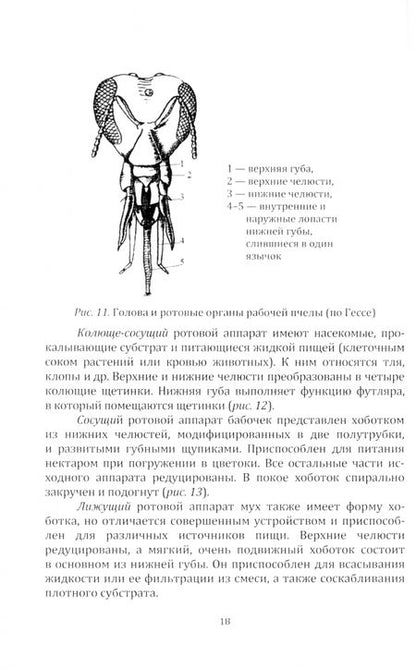 Фотография книги "Телепина: Защита растений. Часть 1. Учебное пособие"