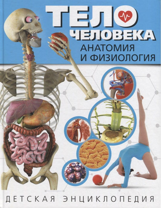 Обложка книги "Тело человека. Анатомия и физиология. Детская энциклопедия"