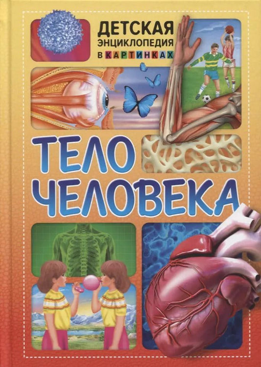 Обложка книги "Тело человека. Детская энциклопедия в картинках."