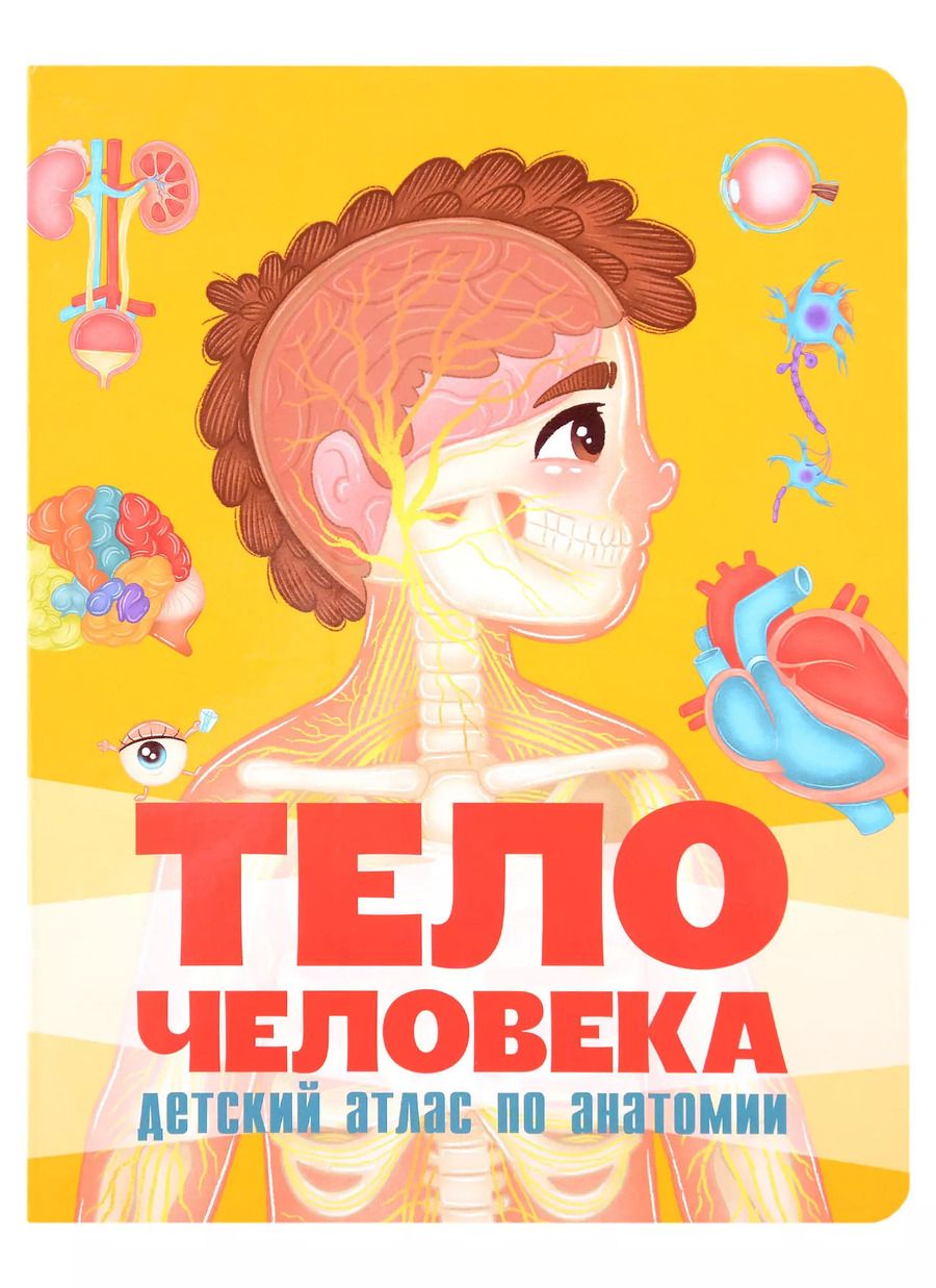 Обложка книги "Тело человека. Детский атлас по анатомии"