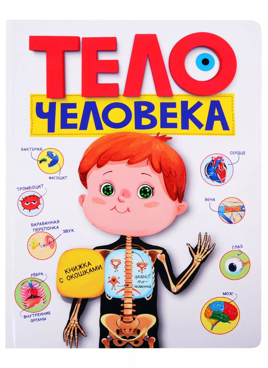 Обложка книги "Тело человека. Книжка с окошками"