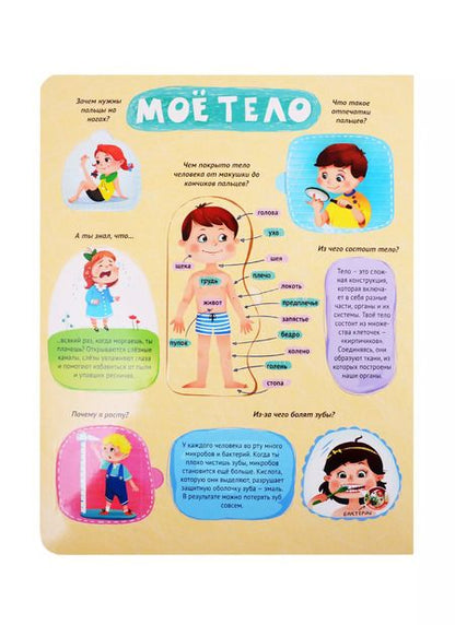 Фотография книги "Тело человека. Книжка с окошками"