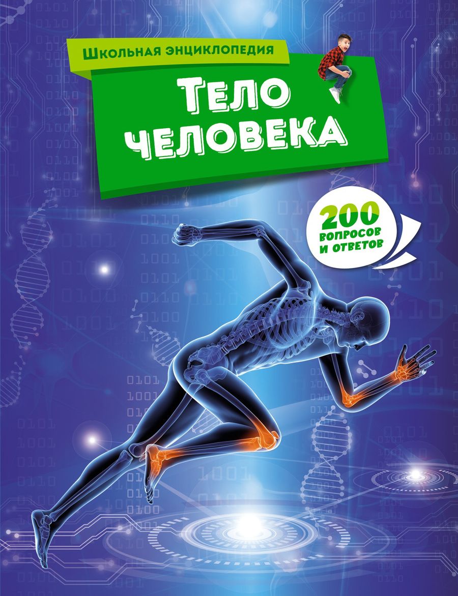 Обложка книги "Тело человека"