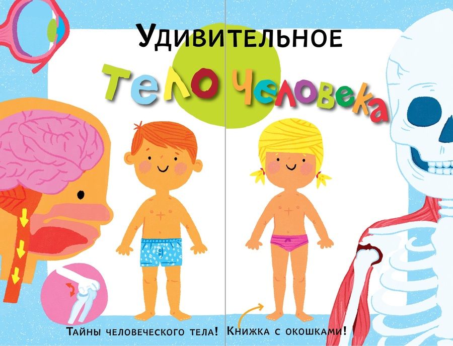 Обложка книги "Тело человека"