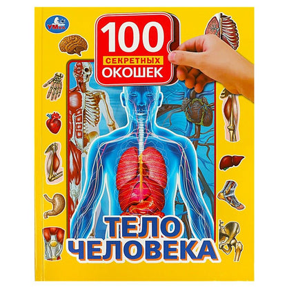 Обложка книги "Тело человека"