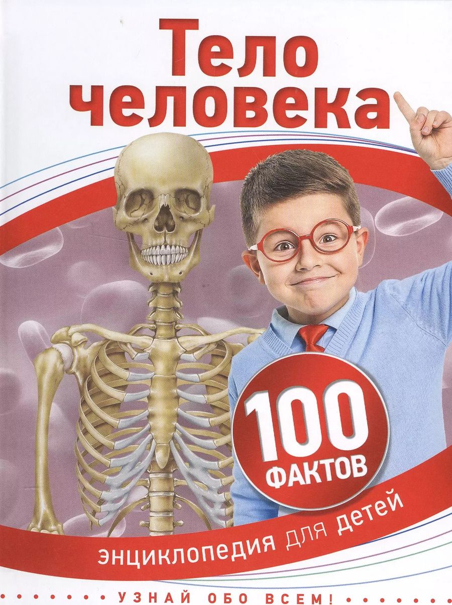 Обложка книги "Тело человека"