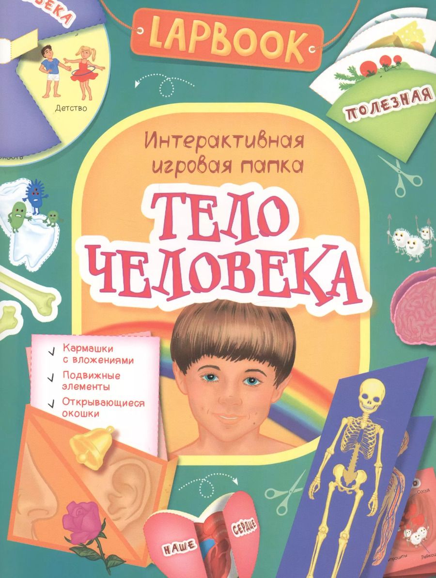 Обложка книги "Тело человека"