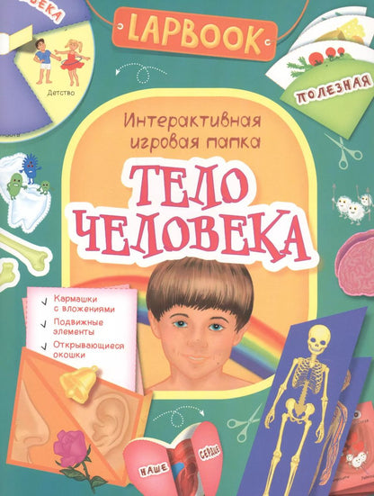 Обложка книги "Тело человека"