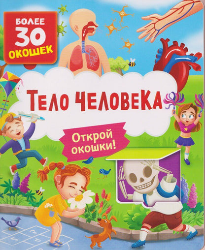 Обложка книги "Тело человека"