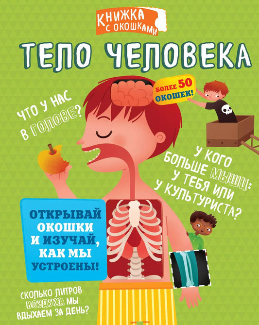 Обложка книги "Тело человека"