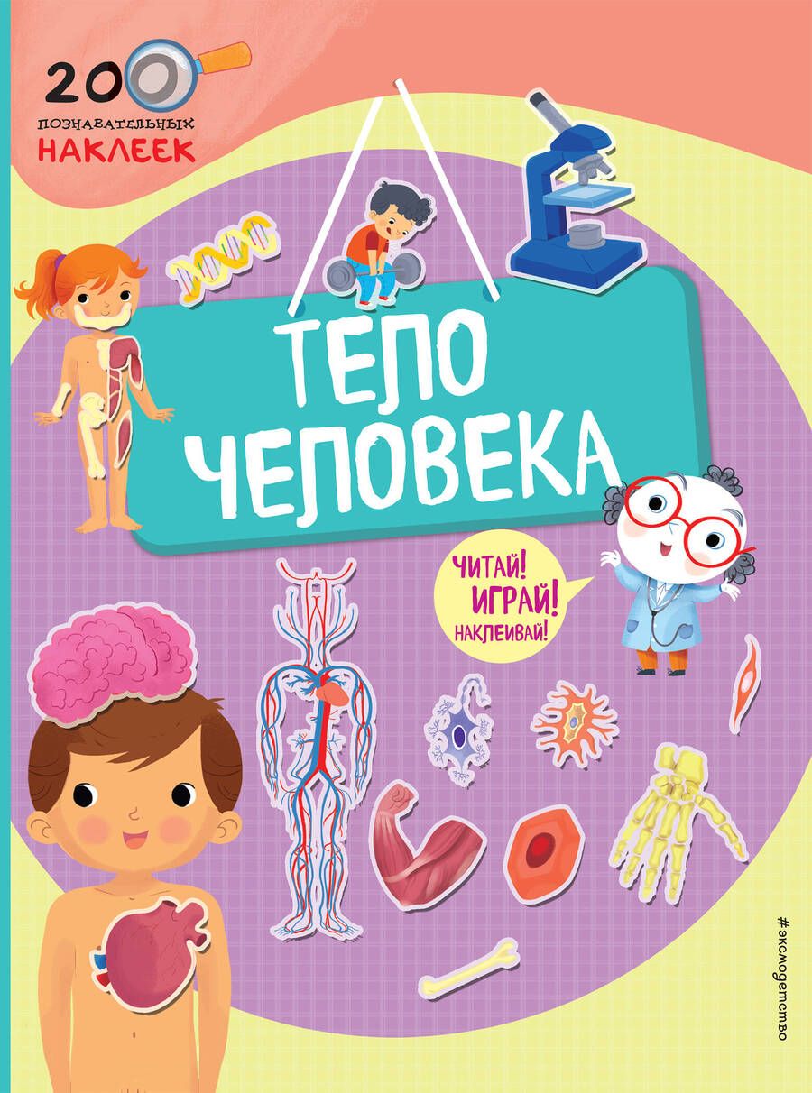 Обложка книги "Тело человека"