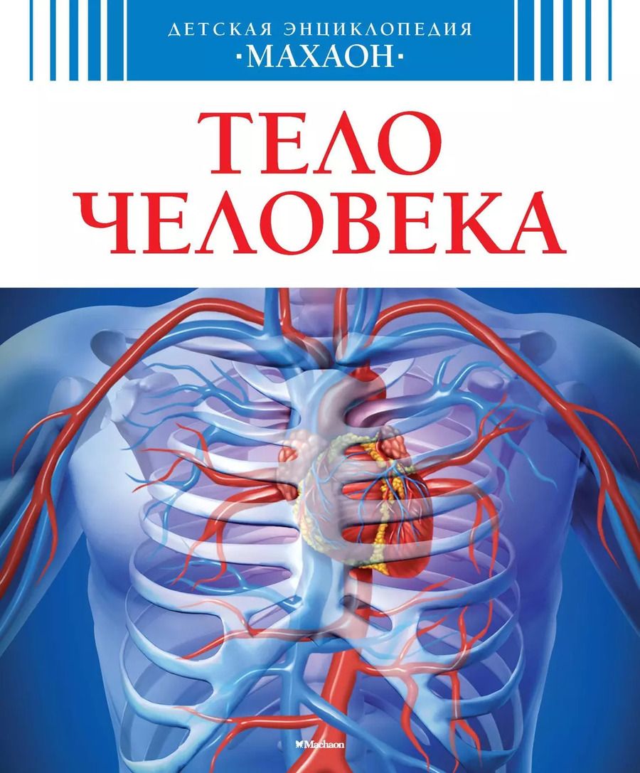Обложка книги "Тело человека"
