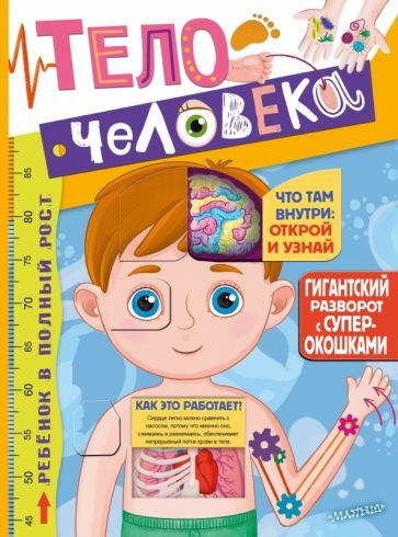 Обложка книги "Тело человека"