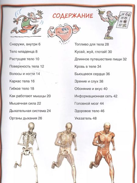 Фотография книги "Тело человека"