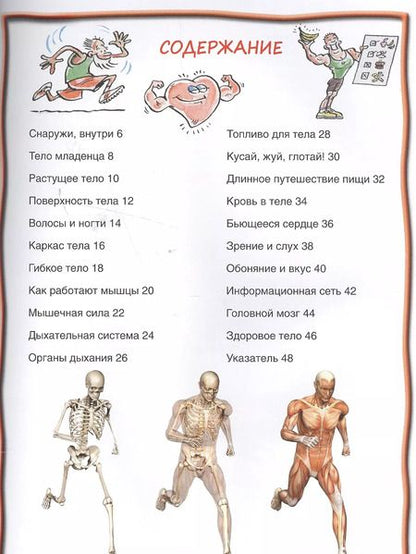 Фотография книги "Тело человека"