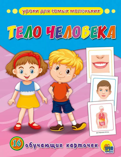 Обложка книги "Тело человека: обучающие карточки"