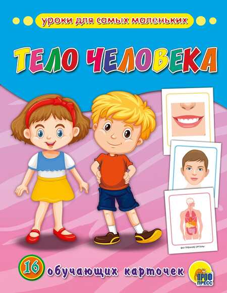 Фотография книги "Тело человека: обучающие карточки"